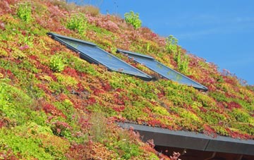 Blacklaw living roof systems
