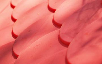 Blacklaw plastic roof costs