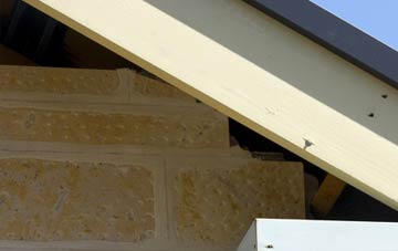 soffit repair Blacklaw
