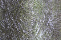 Blacklaw fibreglass roof work